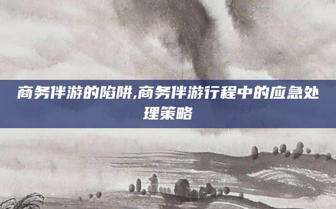 六安商务伴游的陷阱,商务伴游行程中的应急处理策略